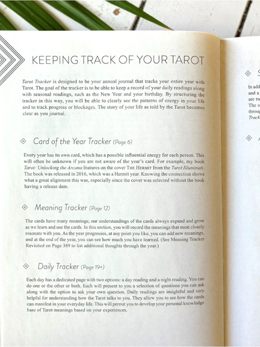 Tarot Tracker A Year-Long Journey Angelo Nasios Hardcover Tarot Journal